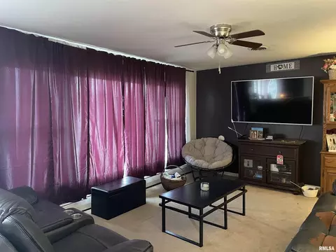 Living - 217 Apple Ln, Anna, IL 62906 photo 3 of 5