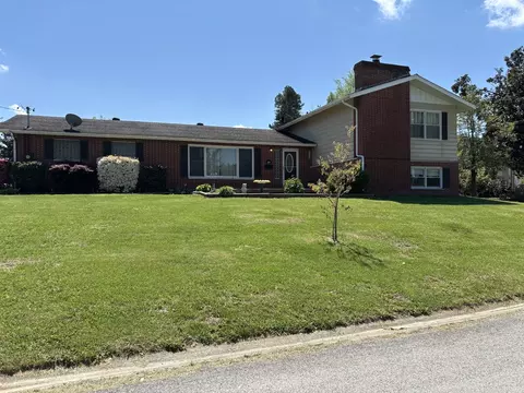 Exterior - 217 Apple Ln, Anna, IL 62906 photo 4 of 5
