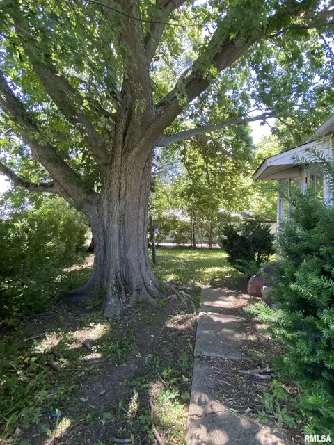Other - 26334 E Il Hwy 9 Hwy, Canton, IL 61520 photo 4 of 5