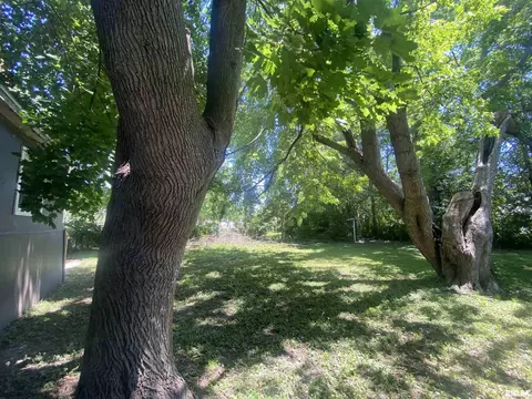 Exterior - 624 E Maple St, Canton, IL 61520 photo 3 of 4