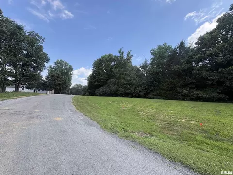 lot S 80 81 Luxor Ln, Goreville, IL 62939