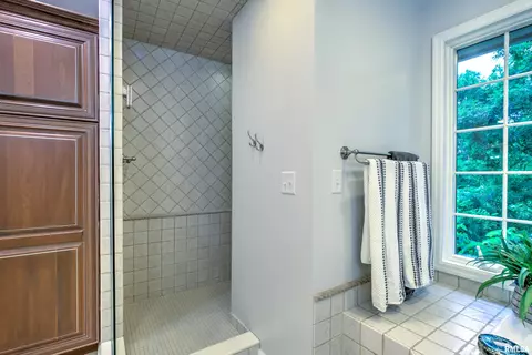 Bath - 112 W Greystone Ct, Dunlap, IL 61525 photo 4 of 7