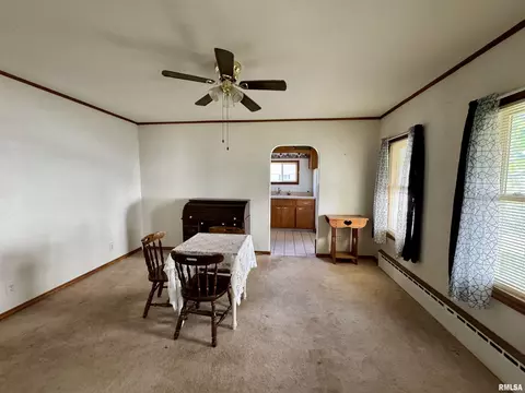 206 E 6th St, Saint David, IL 61563 photo 9
