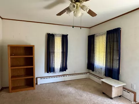 206 E 6th St, Saint David, IL 61563 photo 7