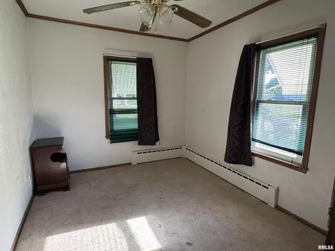 206 E 6th St, Saint David, IL 61563 photo 16