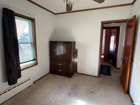 206 E 6th St, Saint David, IL 61563 photo 17