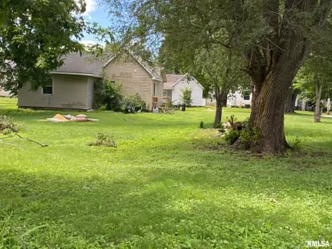Exterior - 1019 E Walnut St, Canton, IL 61520 photo 2 of 4