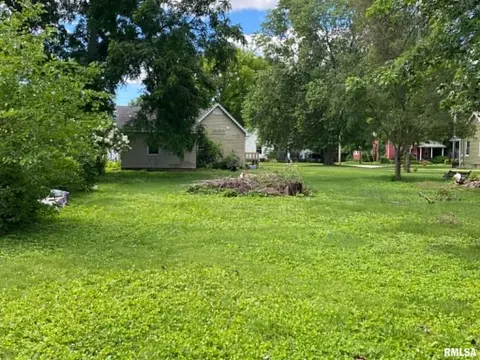 Exterior - 1019 E Walnut St, Canton, IL 61520 photo 3 of 4
