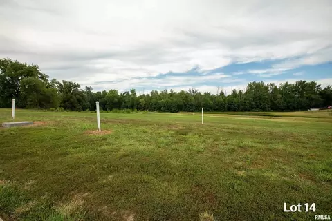1301 Wayne Ave, Marion, IL 62959 photo 2