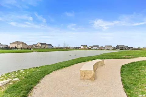 11233 N Greenview Ln, Dunlap, IL 61525 photo 6