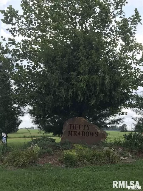 lot4 Dove Ln, Eldorado, IL 62930