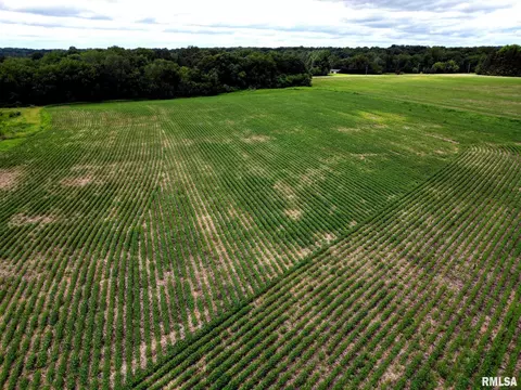 0 N Jackson Rd, Canton, IL 61520 photo 13