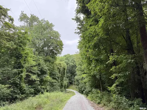 Other - 417 Marigold Rd, Murphysboro, IL 62966 photo 2 of 3