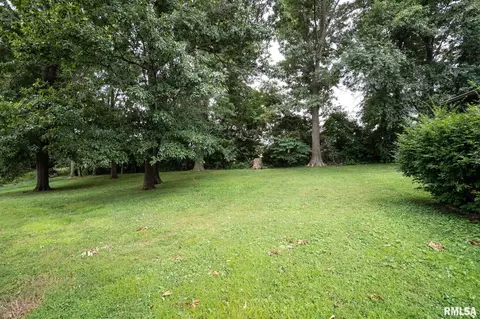 Exterior - 2803 Hickory Ln, Marion, IL 62959 photo 11 of 12