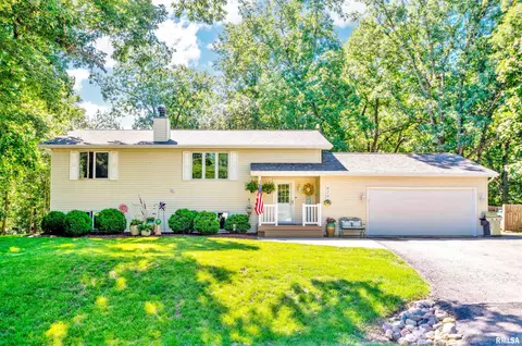429 Pleasant View Cir, Dahinda, IL 61428