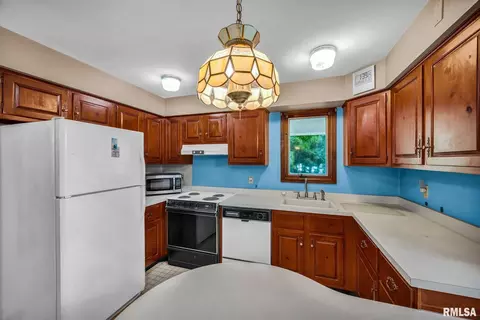 4330 S Banbury Cv, Mapleton, IL 61547 photo 18