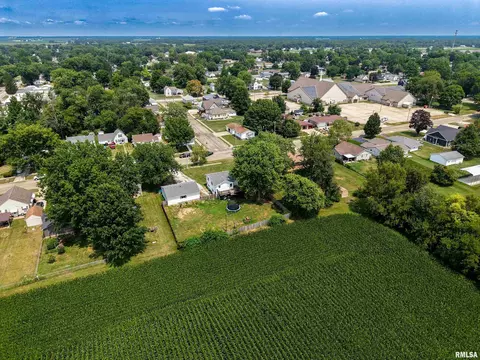 View/Area - 1176 Elm St, Canton, IL 61520 photo 5 of 7