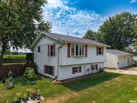 Exterior - 1176 Elm St, Canton, IL 61520 photo 9 of 15