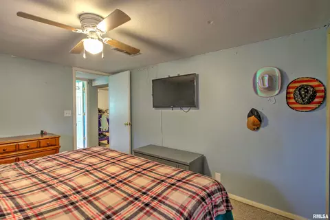 Bedroom - 1176 Elm St, Canton, IL 61520 photo 3 of 7