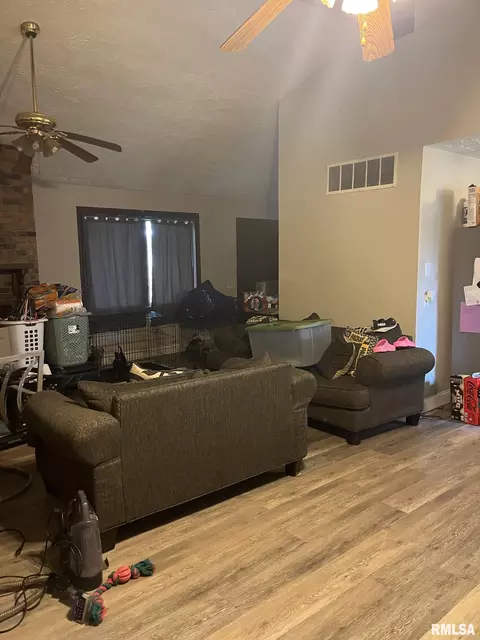 Living - 704 Briddick St, Eldorado, IL 62930 photo 1 of 1