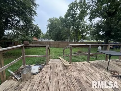 Exterior - 704 Briddick St, Eldorado, IL 62930 photo 2 of 2