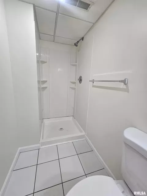 Bath - 10431 W Prince Valiant Ct, Mapleton, IL 61547 photo 8 of 9