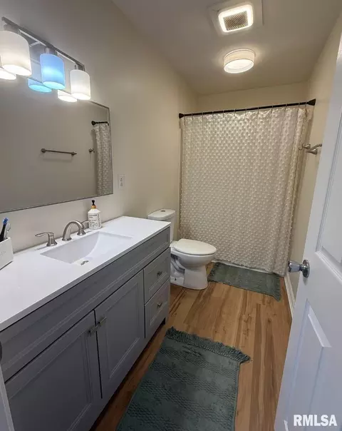 Bath - 10431 W Prince Valiant Ct, Mapleton, IL 61547 photo 5 of 9