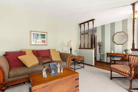 Living - 317 E Swords Dr, Edelstein, IL 61526 photo 3 of 4