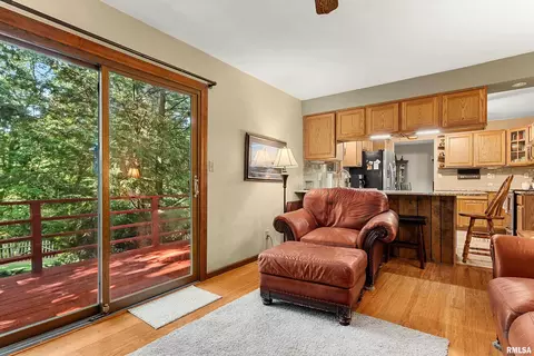 Other - 317 E Swords Dr, Edelstein, IL 61526 photo 7 of 17
