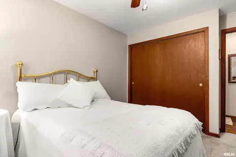 Bedroom - 317 E Swords Dr, Edelstein, IL 61526 photo 9 of 10