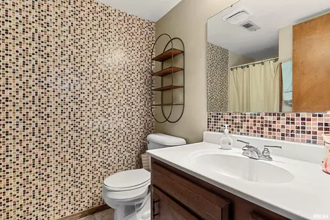 Bath - 317 E Swords Dr, Edelstein, IL 61526 photo 4 of 4
