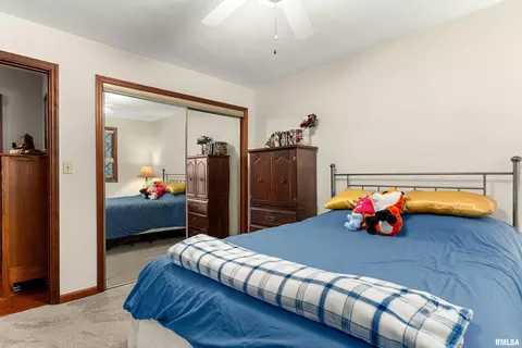 Bedroom - 317 E Swords Dr, Edelstein, IL 61526 photo 6 of 10