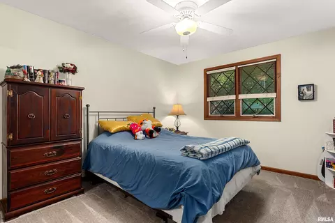 Bedroom - 317 E Swords Dr, Edelstein, IL 61526 photo 4 of 10