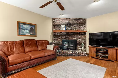 Living - 317 E Swords Dr, Edelstein, IL 61526 photo 4 of 4