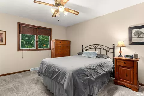 Bedroom - 317 E Swords Dr, Edelstein, IL 61526 photo 1 of 10