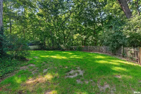 Exterior - 317 E Swords Dr, Edelstein, IL 61526 photo 6 of 9
