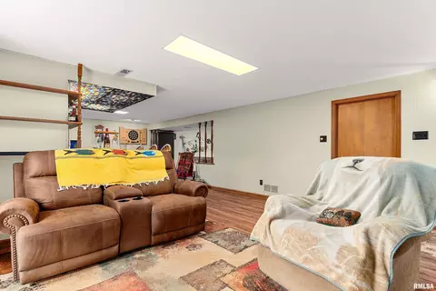 Other - 317 E Swords Dr, Edelstein, IL 61526 photo 10 of 17
