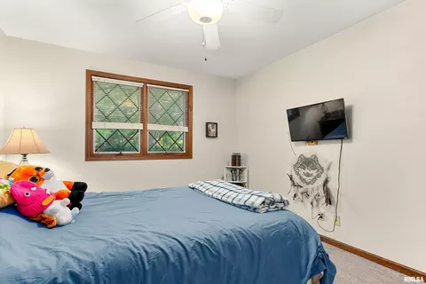 Bedroom - 317 E Swords Dr, Edelstein, IL 61526 photo 5 of 10
