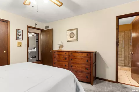 Bedroom - 317 E Swords Dr, Edelstein, IL 61526 photo 3 of 10