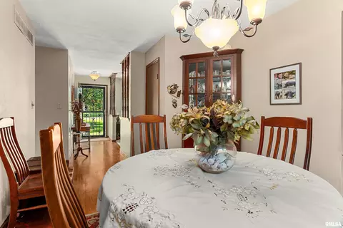Other - 317 E Swords Dr, Edelstein, IL 61526 photo 4 of 17