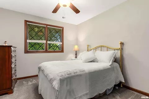 Bedroom - 317 E Swords Dr, Edelstein, IL 61526 photo 7 of 10