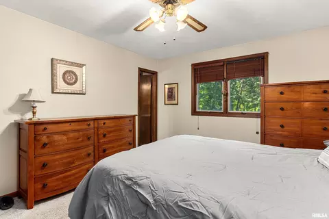 Bedroom - 317 E Swords Dr, Edelstein, IL 61526 photo 2 of 10