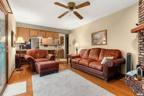 Other - 317 E Swords Dr, Edelstein, IL 61526 photo 6 of 17