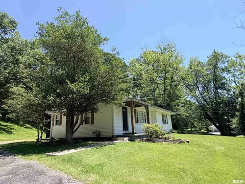Other - 324 E Ash St, Cobden, IL 62920 photo 1 of 11