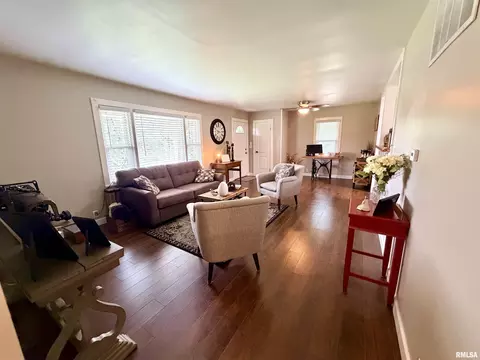Other - 324 E Ash St, Cobden, IL 62920 photo 6 of 11