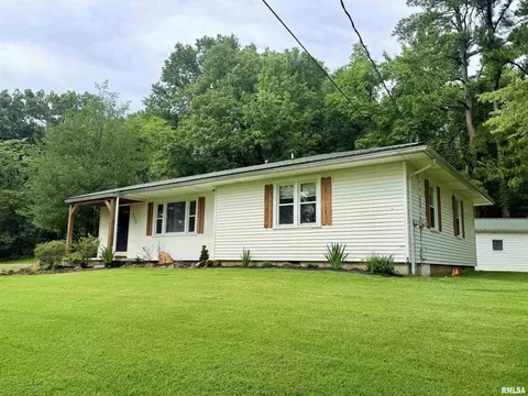 Exterior - 324 E Ash St, Cobden, IL 62920 photo 4 of 10