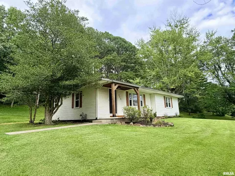 Other - 324 E Ash St, Cobden, IL 62920 photo 9 of 11
