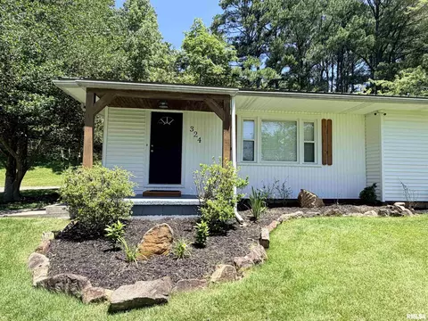 Other - 324 E Ash St, Cobden, IL 62920 photo 2 of 11