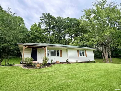 Exterior - 324 E Ash St, Cobden, IL 62920 photo 5 of 10