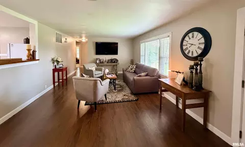 Other - 324 E Ash St, Cobden, IL 62920 photo 5 of 11